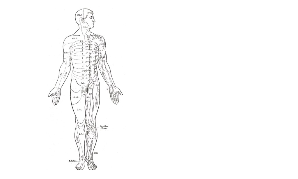 Post-Zoster-Neuralgie