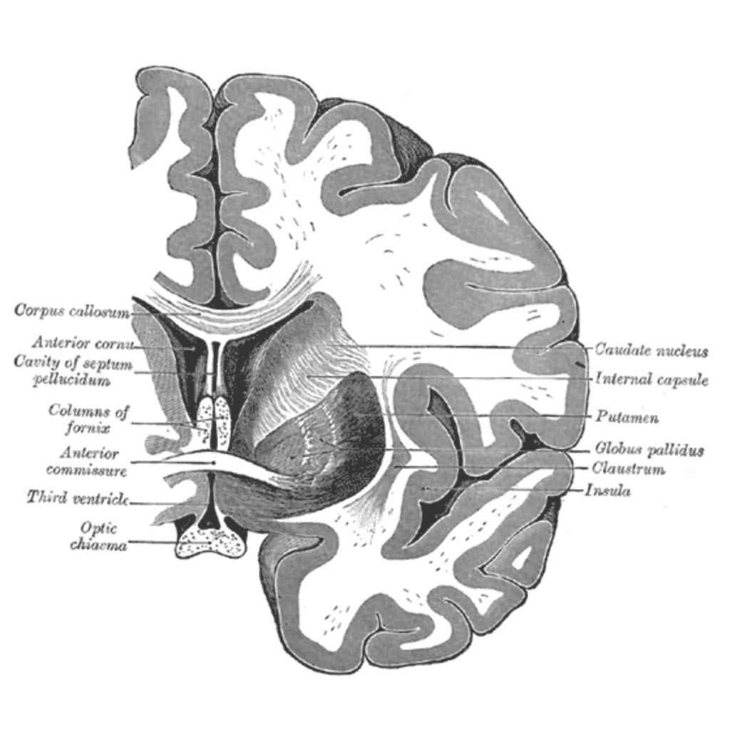 Worum es hier gehen&nbsp;soll