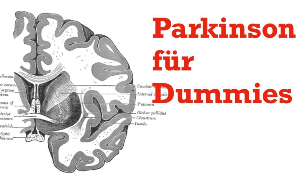 Parkinson für Dummies 6: Parkinson-Therapie im fortgeschrittenen  Krankheitsstadium