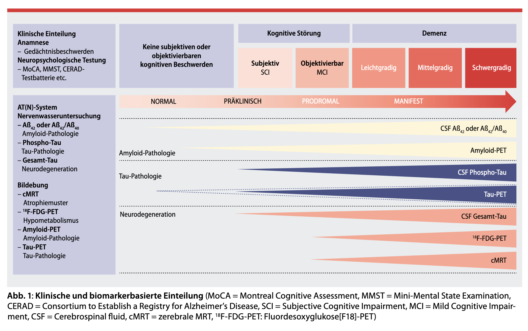 aus: Bungenberg J, Costa AS, Reetz K. Von symptombasierter Diagnostik hin zu einem biologischen Konzept. NeuroTransmitter. 2022;33(3):36-43. 